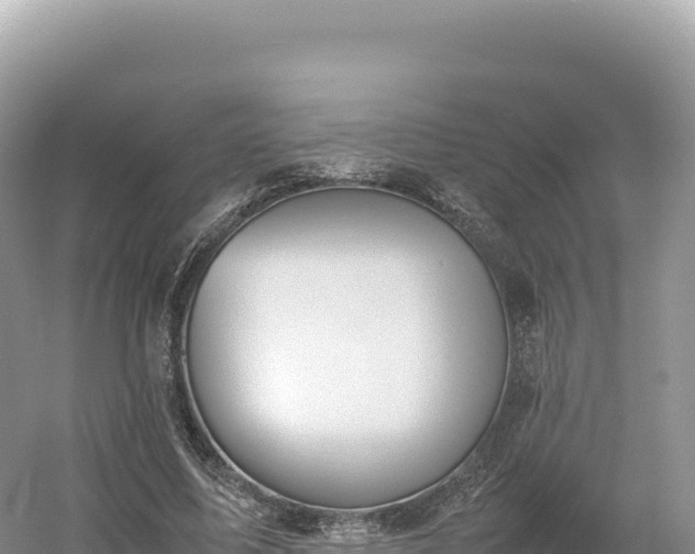 X0000054390587200508051649