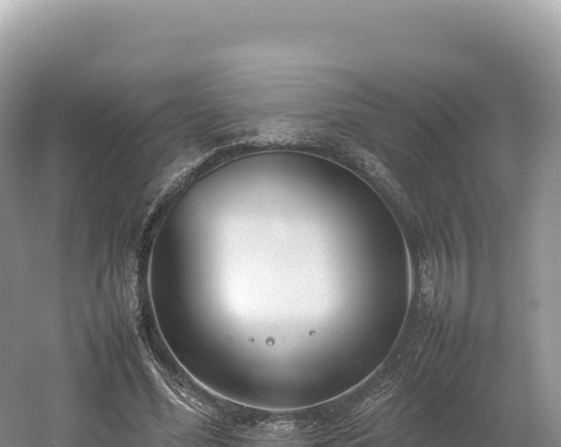 X0000054390588200508051649