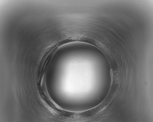 X0000054390589200508051649