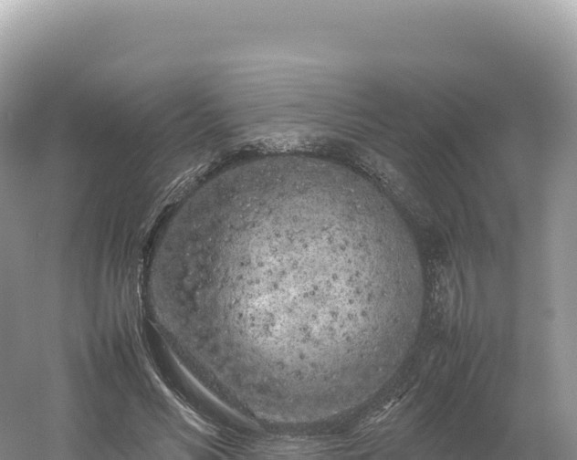 X0000054390590200508051649