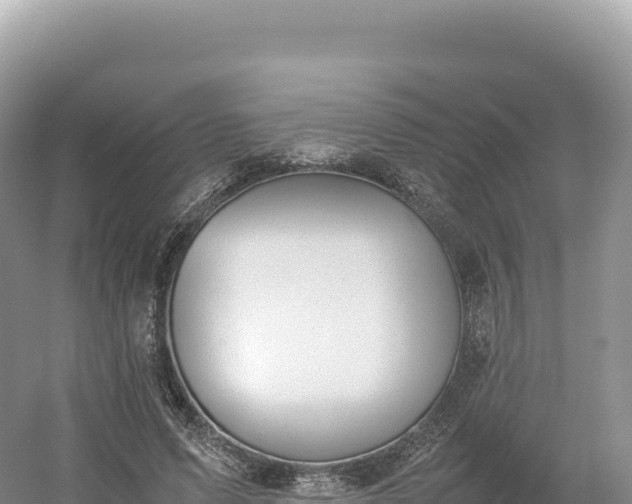 X0000054390591200508051649