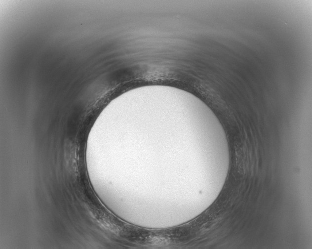 X0000054390592200508051649