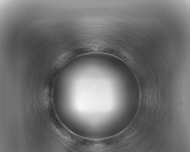 X0000054390594200508051649