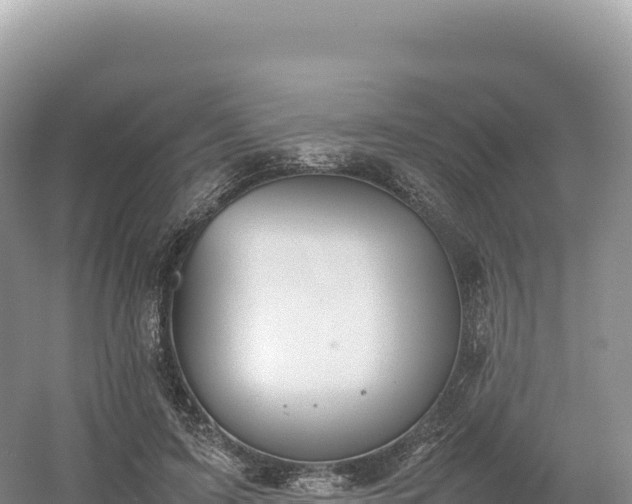 X0000054390595200508051649