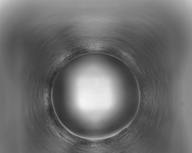 X0000054390596200508051649