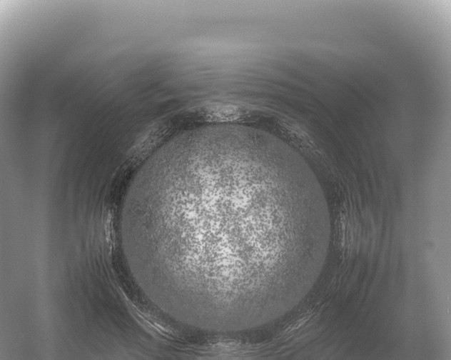 X0000054390598200508051649