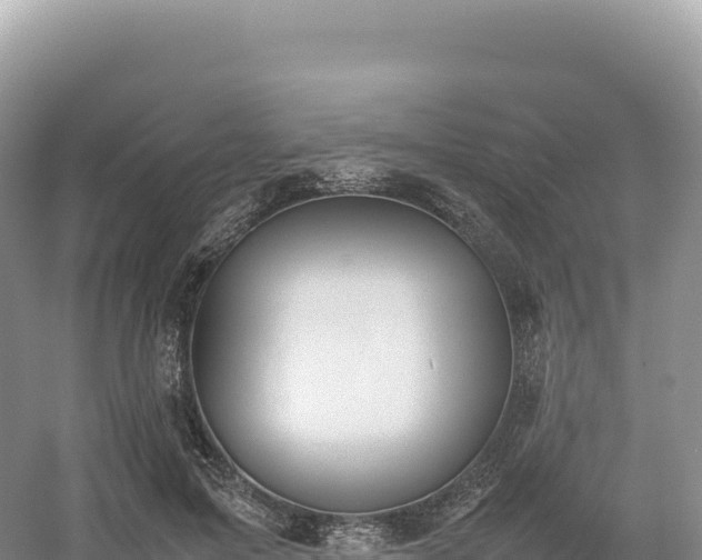 X0000054390599200508051649