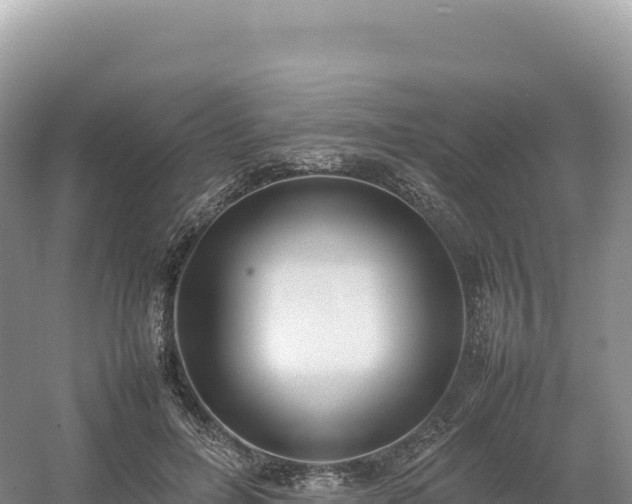 X0000054390600200508051649