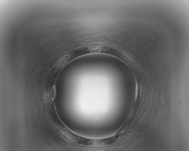 X0000054390601200508051649