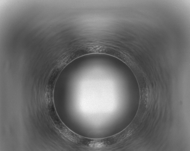 X0000054390602200508051649