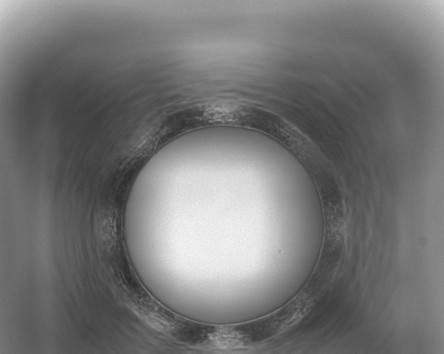 X0000054390603200508051649