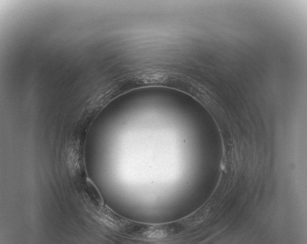 X0000054390604200508051649