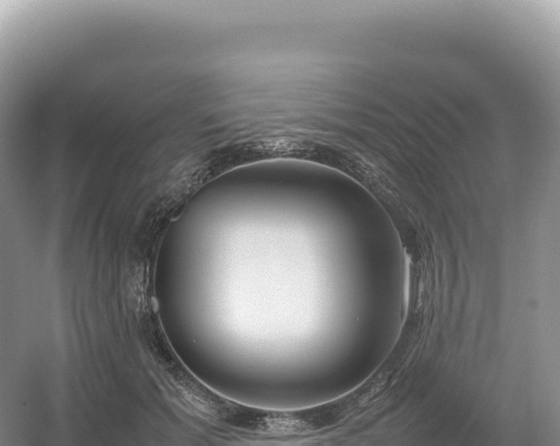 X0000054390605200508051649