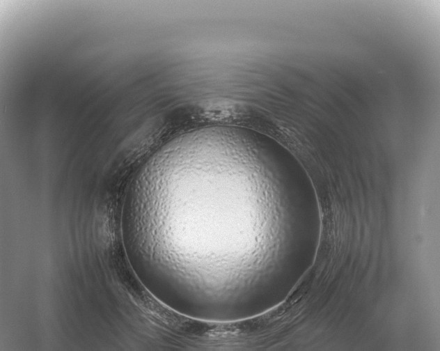 X0000054390606200508051649