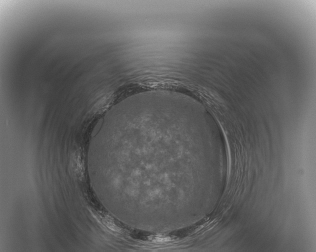 X0000054390607200508051649