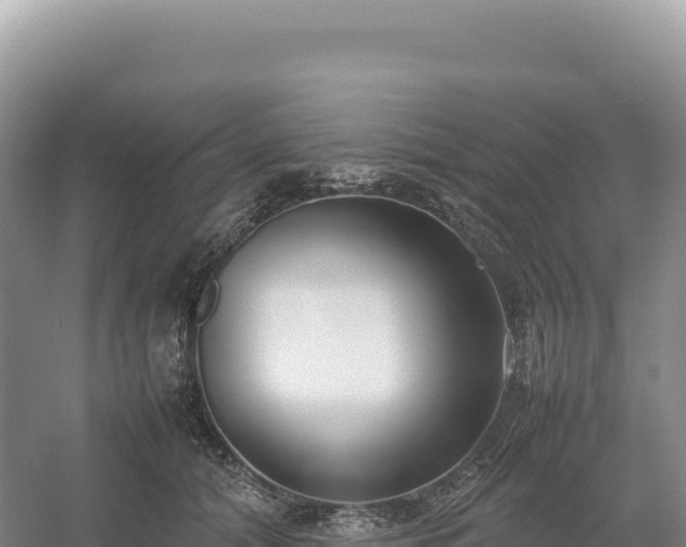 X0000054390608200508051649