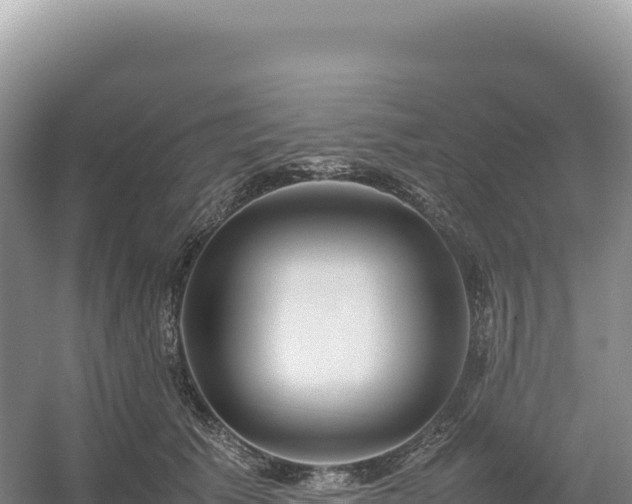 X0000054390609200508051649