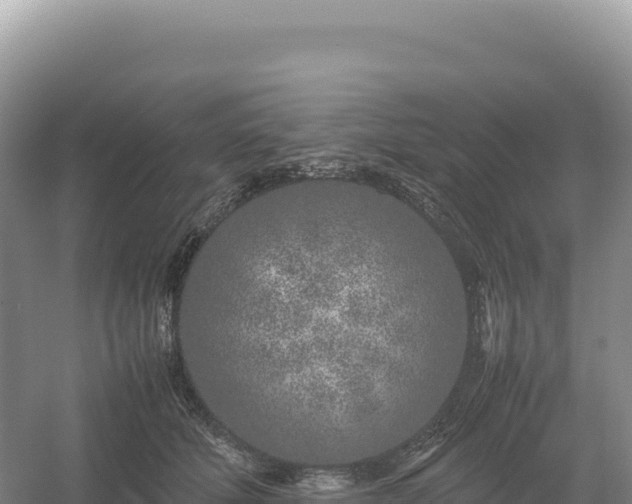 X0000054390610200508051649