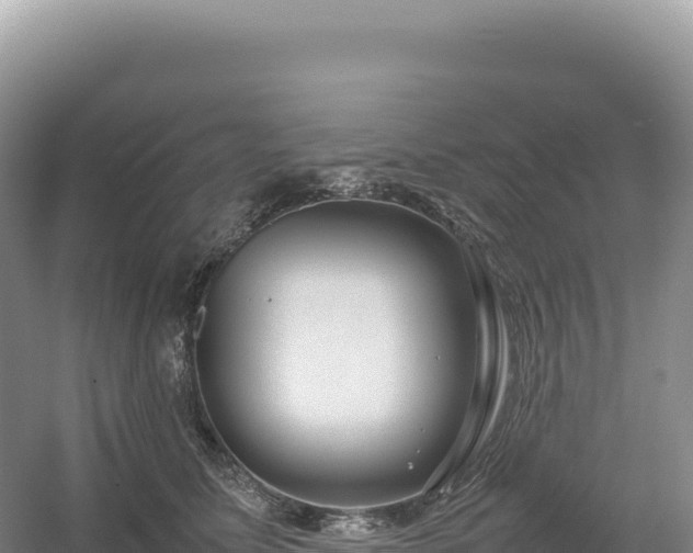 X0000054390611200508051649