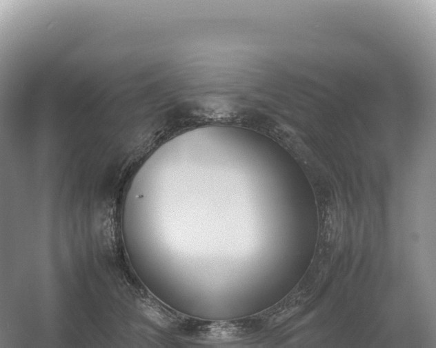 X0000054390612200508051649