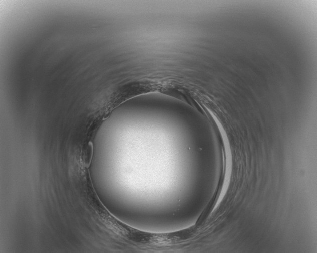 X0000054390613200508051649