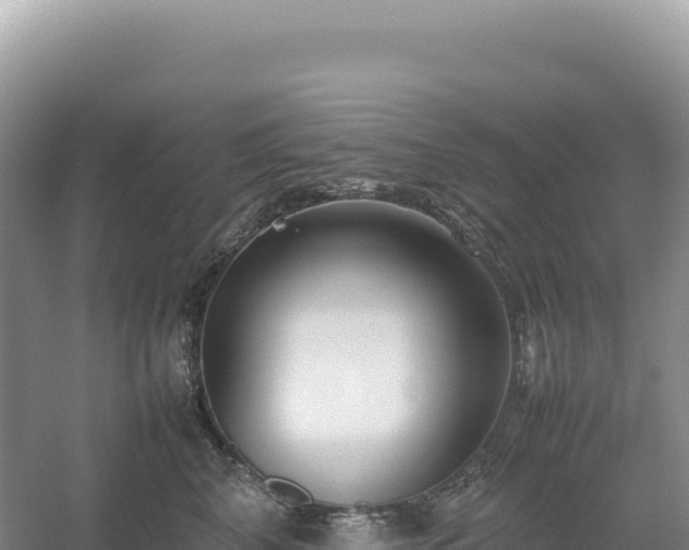 X0000054390616200508051649