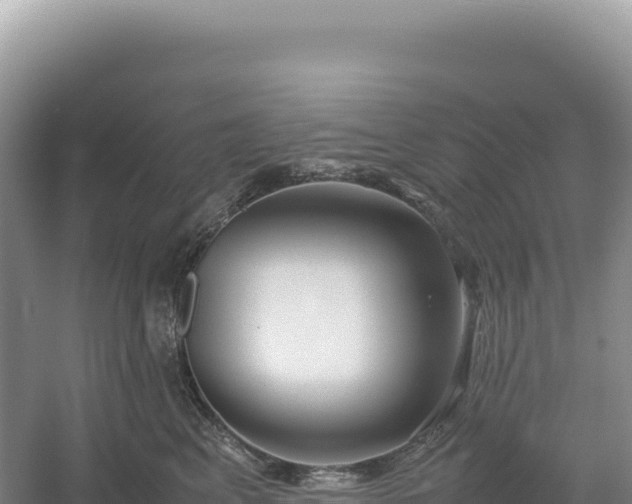 X0000054390617200508051649