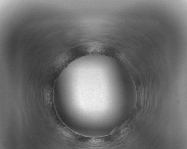 X0000054390619200508051649