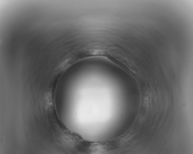 X0000054390620200508051649