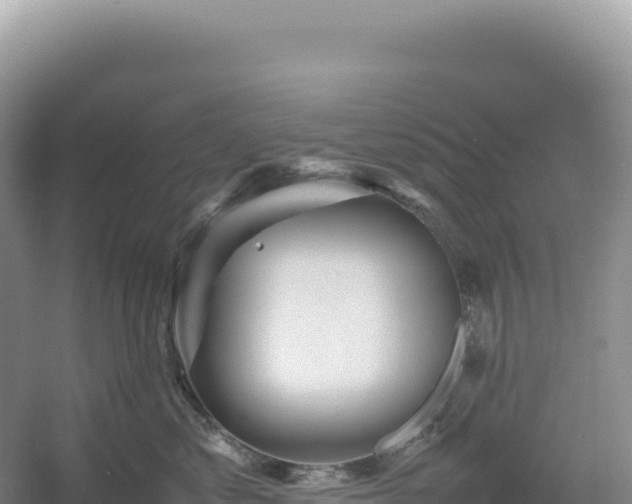 X0000054390621200508051649