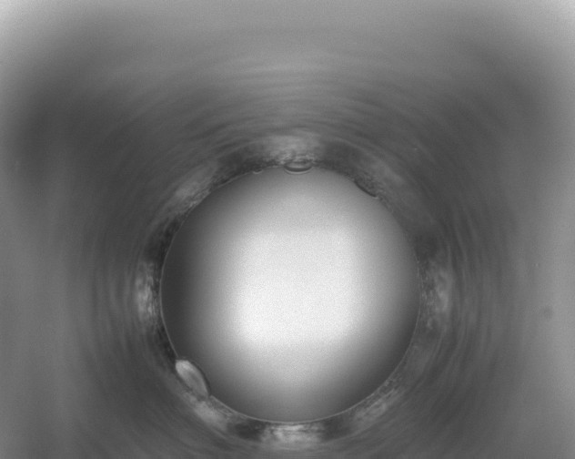 X0000054390622200508051649