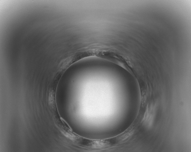 X0000054390623200508051649