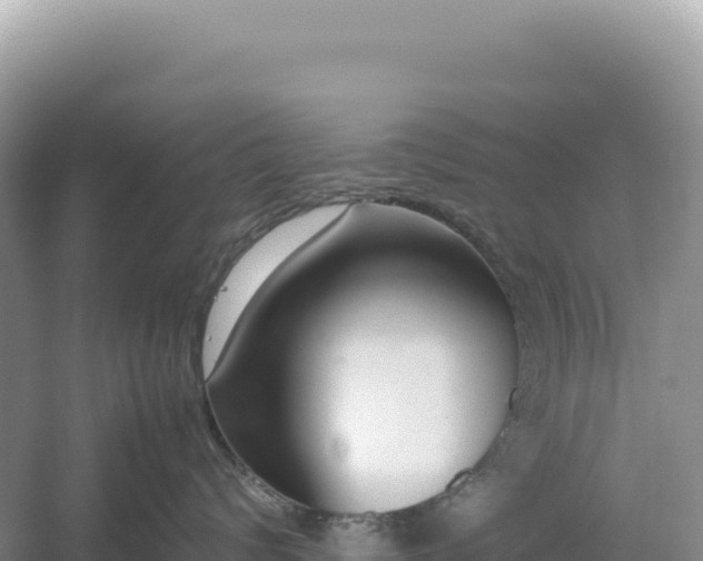 X0000054390624200508051649