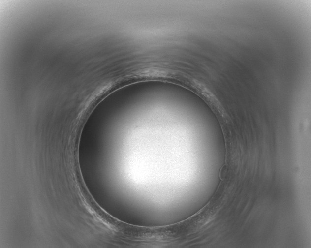 X0000054390625200508051648