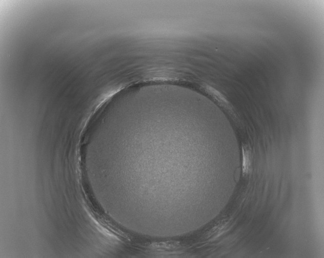 X0000054390627200508051648