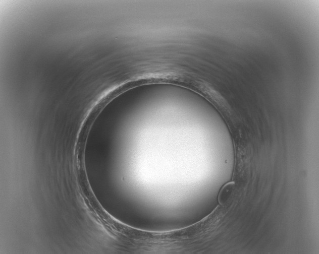 X0000054390628200508051648