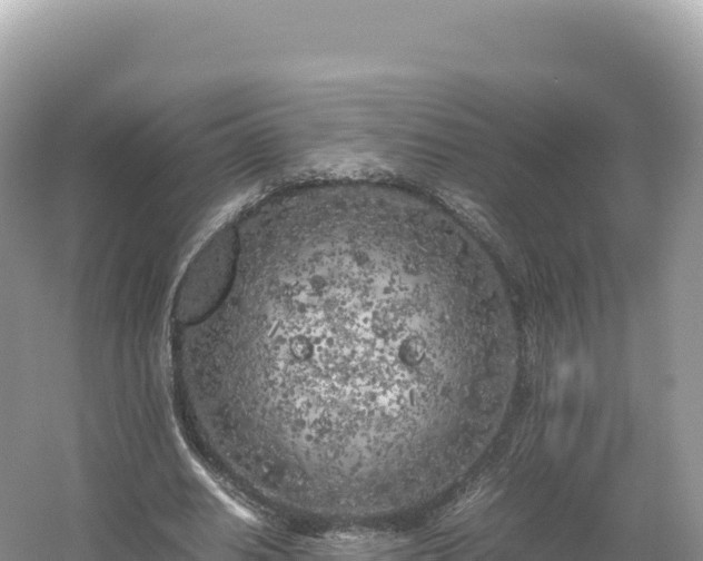 X0000054390630200508051648