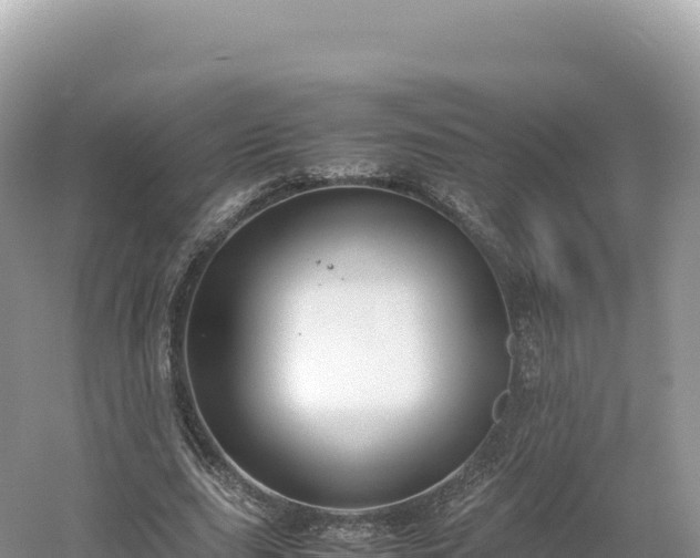 X0000054390631200508051648