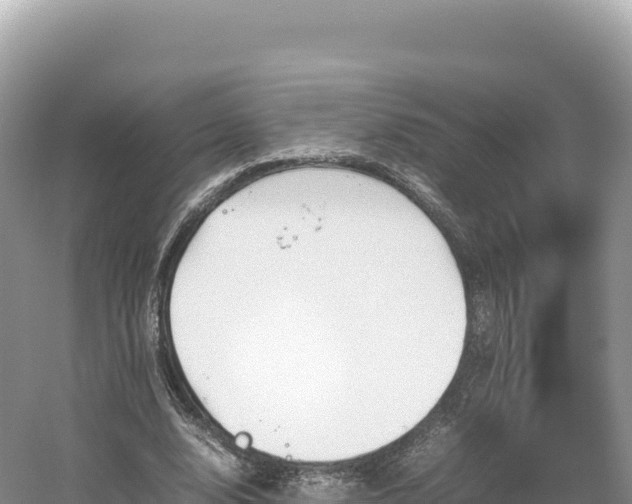 X0000054390632200508051648