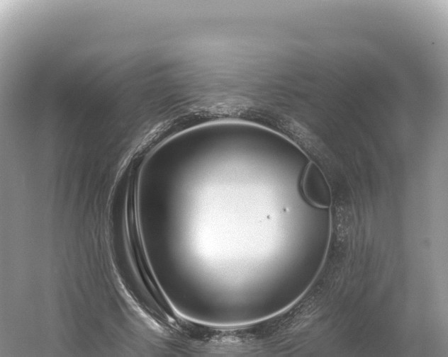 X0000054390634200508051648