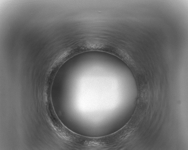 X0000054390635200508051648