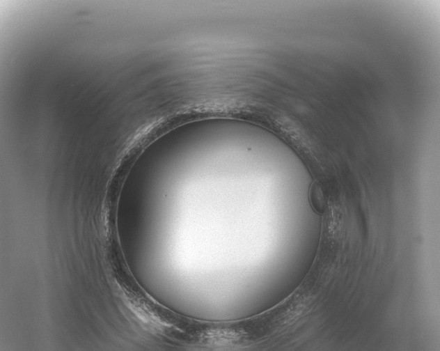 X0000054390636200508051648