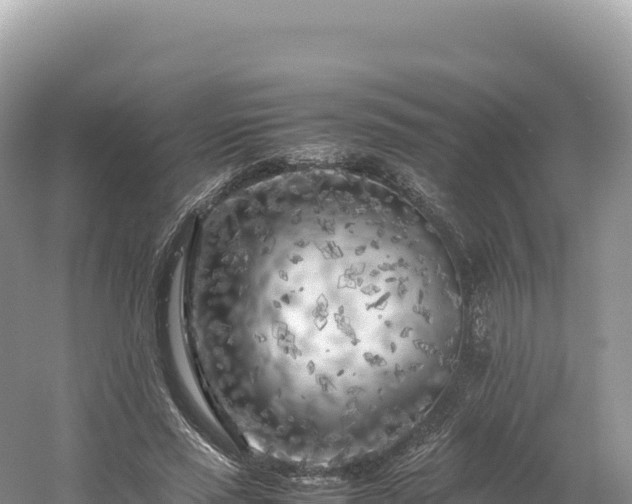 X0000054390637200508051648