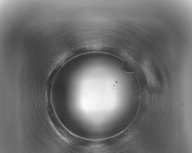 X0000054390638200508051648