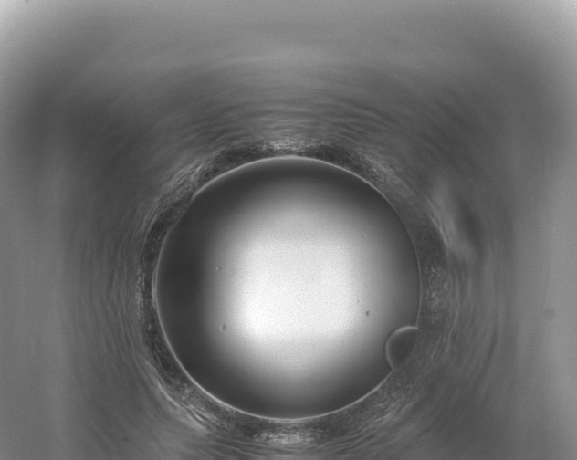 X0000054390639200508051648