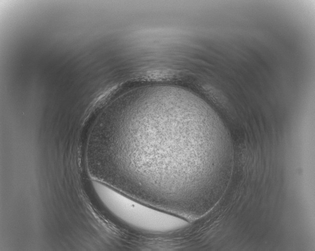 X0000054390640200508051648