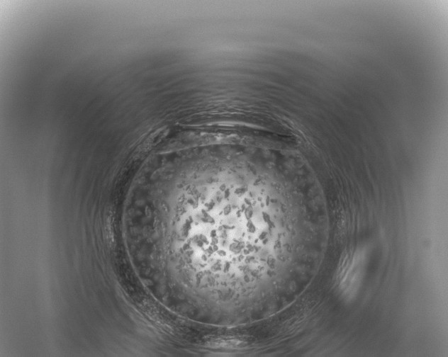 X0000054390643200508051648