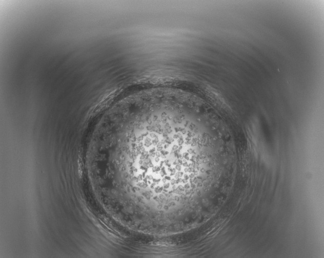 X0000054390644200508051648