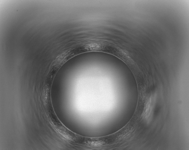 X0000054390645200508051648