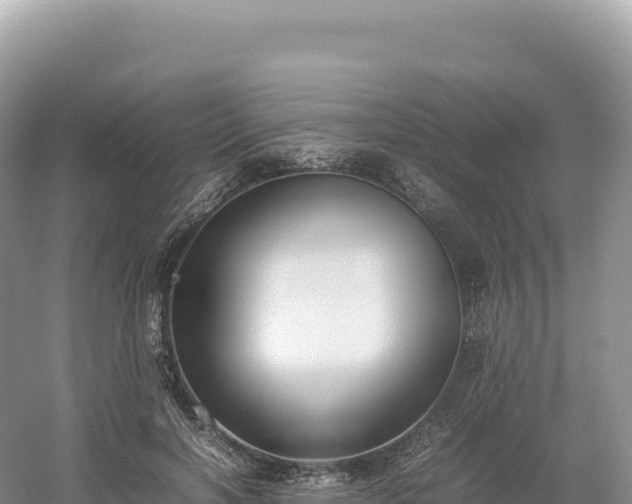 X0000054390646200508051648